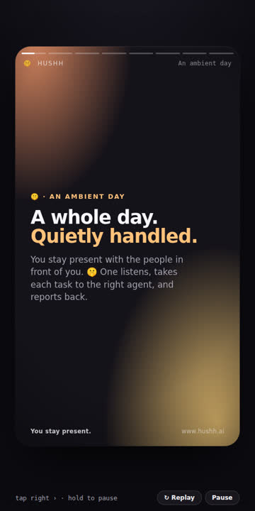 The Ambient Day
